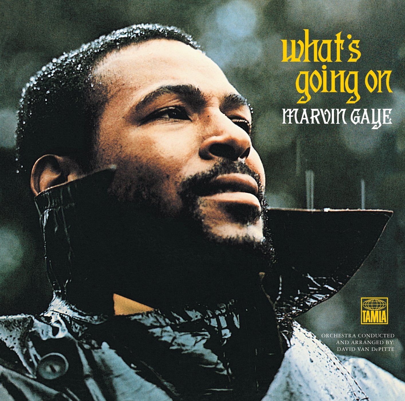 marvin gaye what's going on? efl free song worksheet