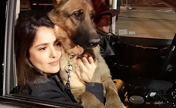 salma hayek animals ellen show efl free video worksheet