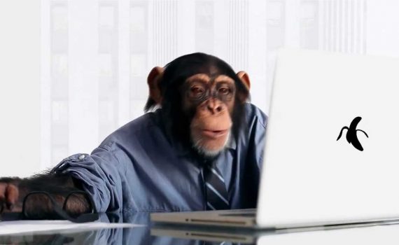 two monkeys paid unequally ted.com frans de waal efl free video worksheet